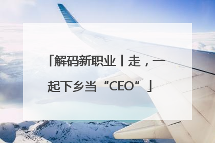 解码新职业丨走，一起下乡当“CEO”