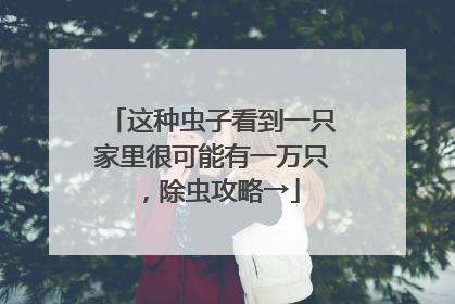 这种虫子看到一只家里很可能有一万只，除虫攻略→