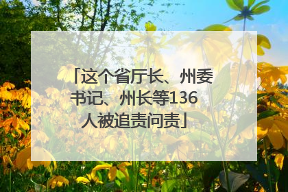 这个省厅长、州委书记、州长等136人被追责问责