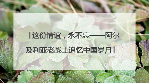 这份情谊，永不忘——阿尔及利亚老战士追忆中国岁月