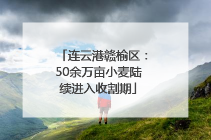 连云港赣榆区：50余万亩小麦陆续进入收割期