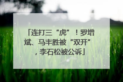 连打三“虎”！罗增斌、马丰胜被“双开”，李石松被公诉