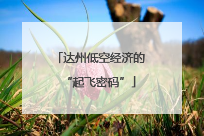 达州低空经济的“起飞密码”