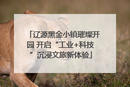辽源黑金小镇璀璨开园 开启“工业+科技”沉浸文旅新体验