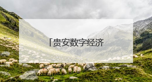 贵安数字经济取得新突破！