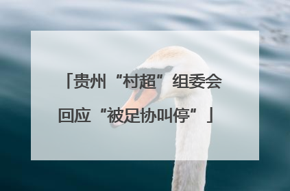 贵州“村超”组委会回应“被足协叫停”