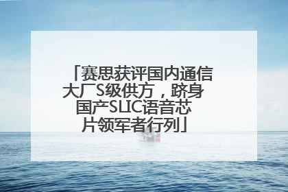 赛思获评国内通信大厂S级供方，跻身国产SLIC语音芯片领军者行列