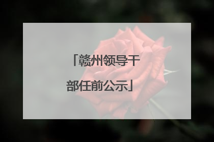 赣州领导干部任前公示