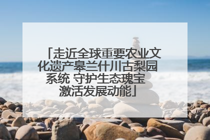 走近全球重要农业文化遗产皋兰什川古梨园系统 守护生态瑰宝 激活发展动能