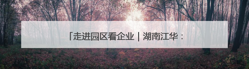走进园区看企业｜湖南江华：“小电机”撬动“大产业”