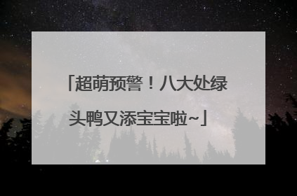 超萌预警！八大处绿头鸭又添宝宝啦~