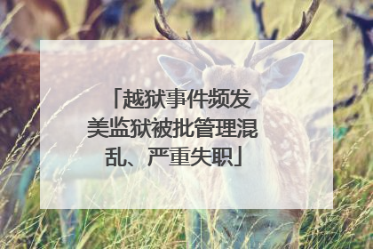 越狱事件频发 美监狱被批管理混乱、严重失职