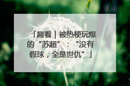 趣看｜被热梗玩爆的“苏超”：“没有假球，全是世仇”