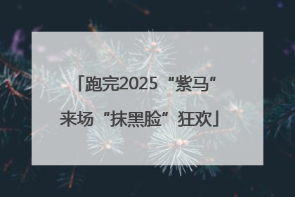 跑完2025“紫马” 来场“抹黑脸”狂欢