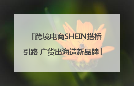 跨境电商SHEIN搭桥引路 广货出海造新品牌
