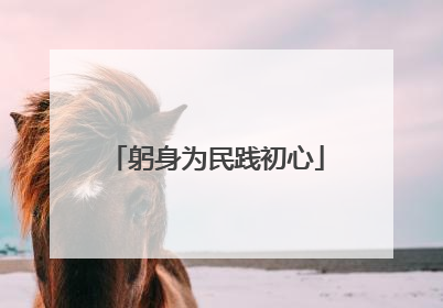 躬身为民践初心