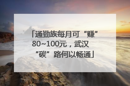 通勤族每月可“赚”80~100元，武汉“碳”路何以畅通