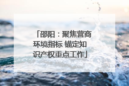 邵阳：聚焦营商环境指标 锚定知识产权重点工作