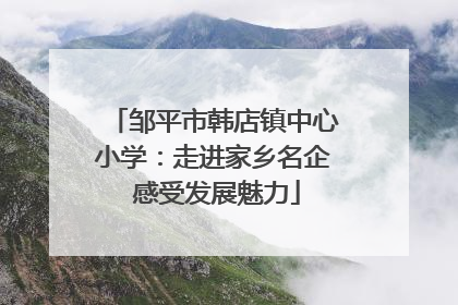 邹平市韩店镇中心小学：走进家乡名企 感受发展魅力