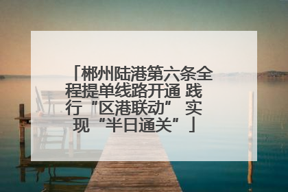 郴州陆港第六条全程提单线路开通 践行“区港联动” 实现“半日通关”
