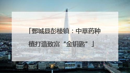 鄄城县彭楼镇：中草药种植打造致富“金钥匙”