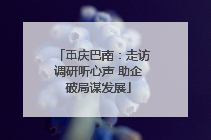重庆巴南：走访调研听心声 助企破局谋发展