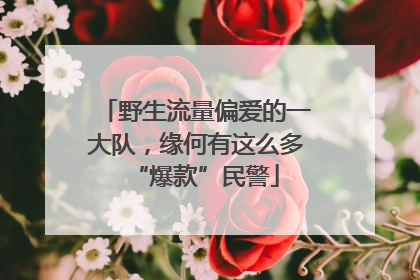 野生流量偏爱的一大队，缘何有这么多“爆款”民警