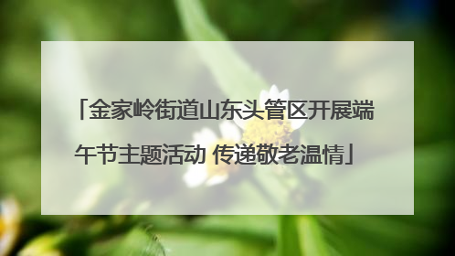 金家岭街道山东头管区开展端午节主题活动 传递敬老温情