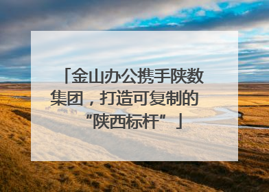 金山办公携手陕数集团，打造可复制的“陕西标杆”