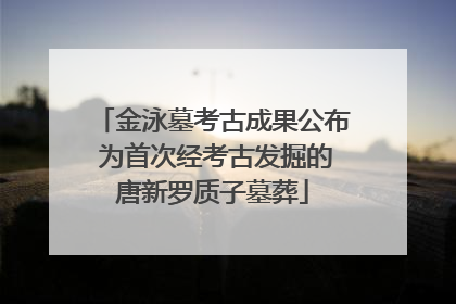 金泳墓考古成果公布 为首次经考古发掘的唐新罗质子墓葬