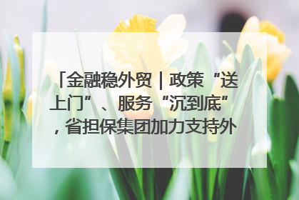 金融稳外贸｜政策“送上门”、服务“沉到底”，省担保集团加力支持外经贸高质量发展