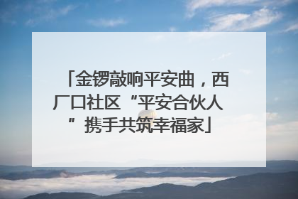 金锣敲响平安曲，西厂口社区“平安合伙人”携手共筑幸福家