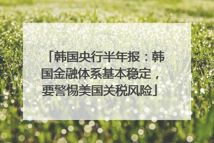 韩国央行半年报：韩国金融体系基本稳定，要警惕美国关税风险