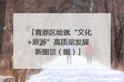 青原区绘就“文化+旅游”高质量发展新图景（图）