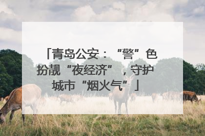 青岛公安：“警”色扮靓“夜经济”，守护城市“烟火气”