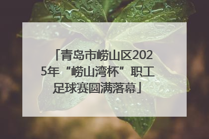 青岛市崂山区2025年“崂山湾杯”职工足球赛圆满落幕