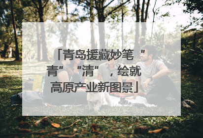 青岛援藏妙笔“青”“清”，绘就高原产业新图景