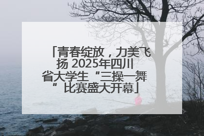 青春绽放，力美飞扬 2025年四川省大学生“三操一舞”比赛盛大开幕