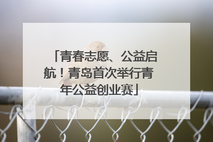 青春志愿、公益启航！青岛首次举行青年公益创业赛
