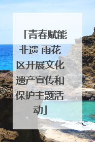 青春赋能非遗 雨花区开展文化遗产宣传和保护主题活动