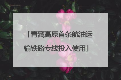青藏高原首条航油运输铁路专线投入使用