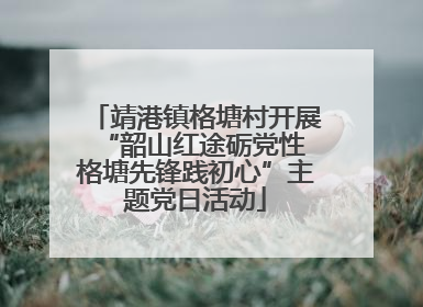 靖港镇格塘村开展“韶山红途砺党性 格塘先锋践初心”主题党日活动