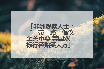 非洲观察人士：“一带一路”倡议至关重要 美国双标行径贻笑大方