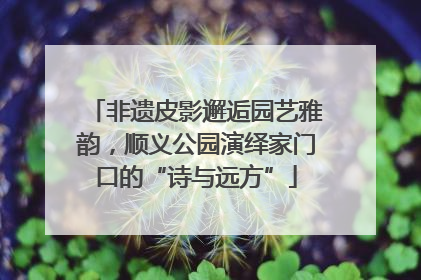 非遗皮影邂逅园艺雅韵，顺义公园演绎家门口的“诗与远方”