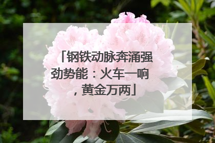 钢铁动脉奔涌强劲势能：火车一响，黄金万两