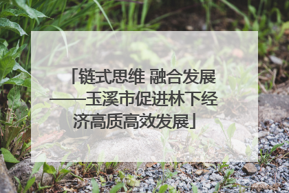 链式思维 融合发展——玉溪市促进林下经济高质高效发展