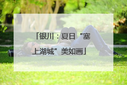 银川：夏日“塞上湖城”美如画