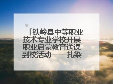 铁岭县中等职业技术专业学校开展职业启蒙教育送课到校活动——扎染艺术与电商营销走进熊官屯镇中心小学
