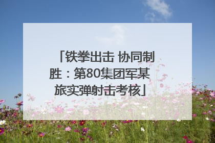 铁拳出击 协同制胜：第80集团军某旅实弹射击考核