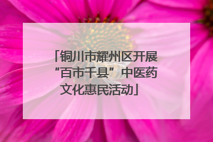 铜川市耀州区开展“百市千县”中医药文化惠民活动